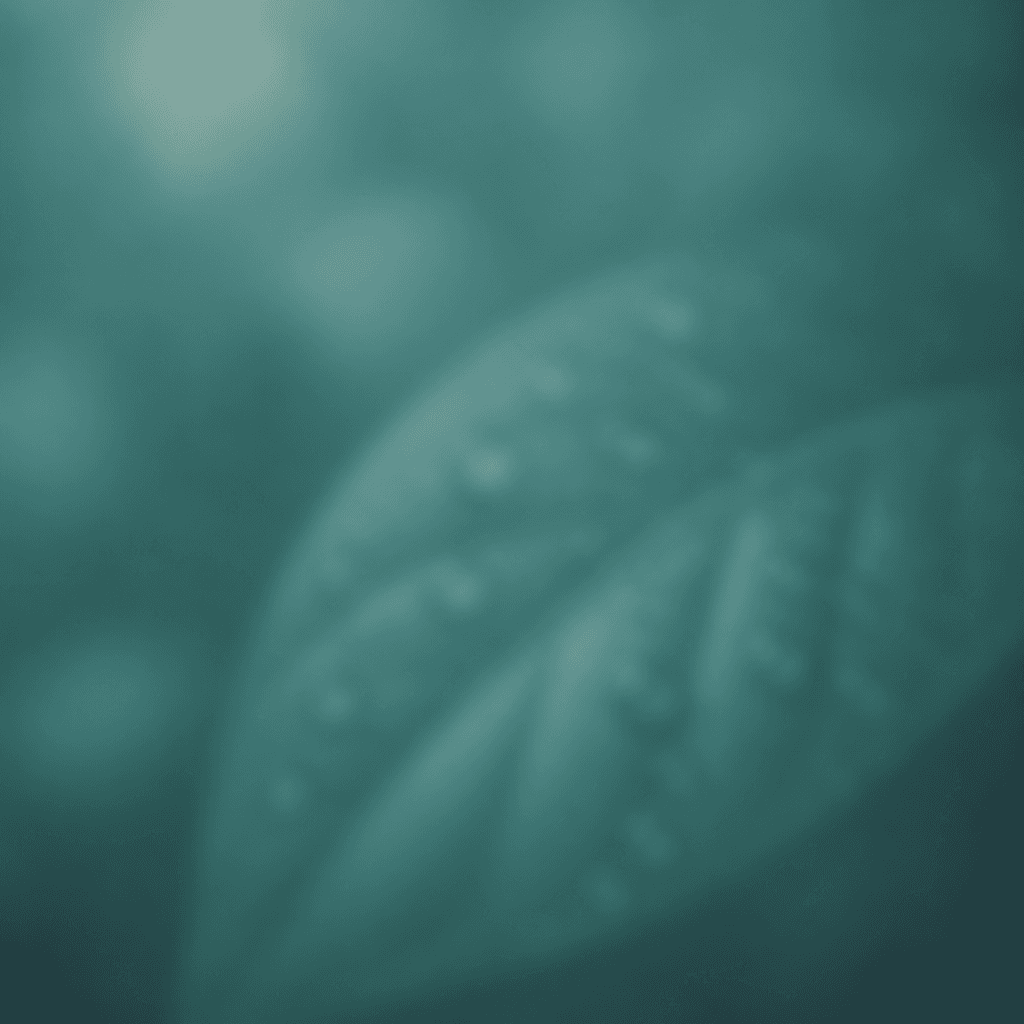 Footer Background